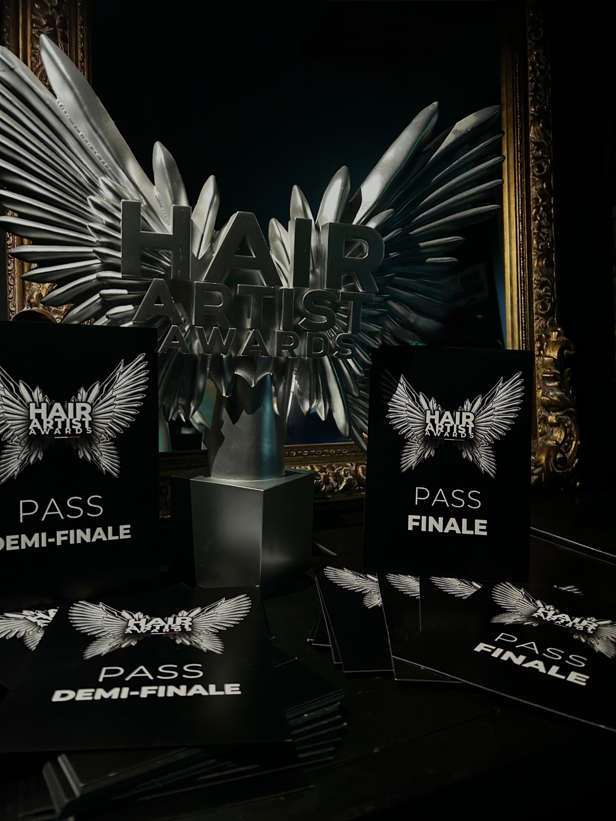 Association OnesmileOnechildren - Entrée gratuite avec participation symbolique au concours des Hair Artist Awards le 9 novembre 2025 au Mans